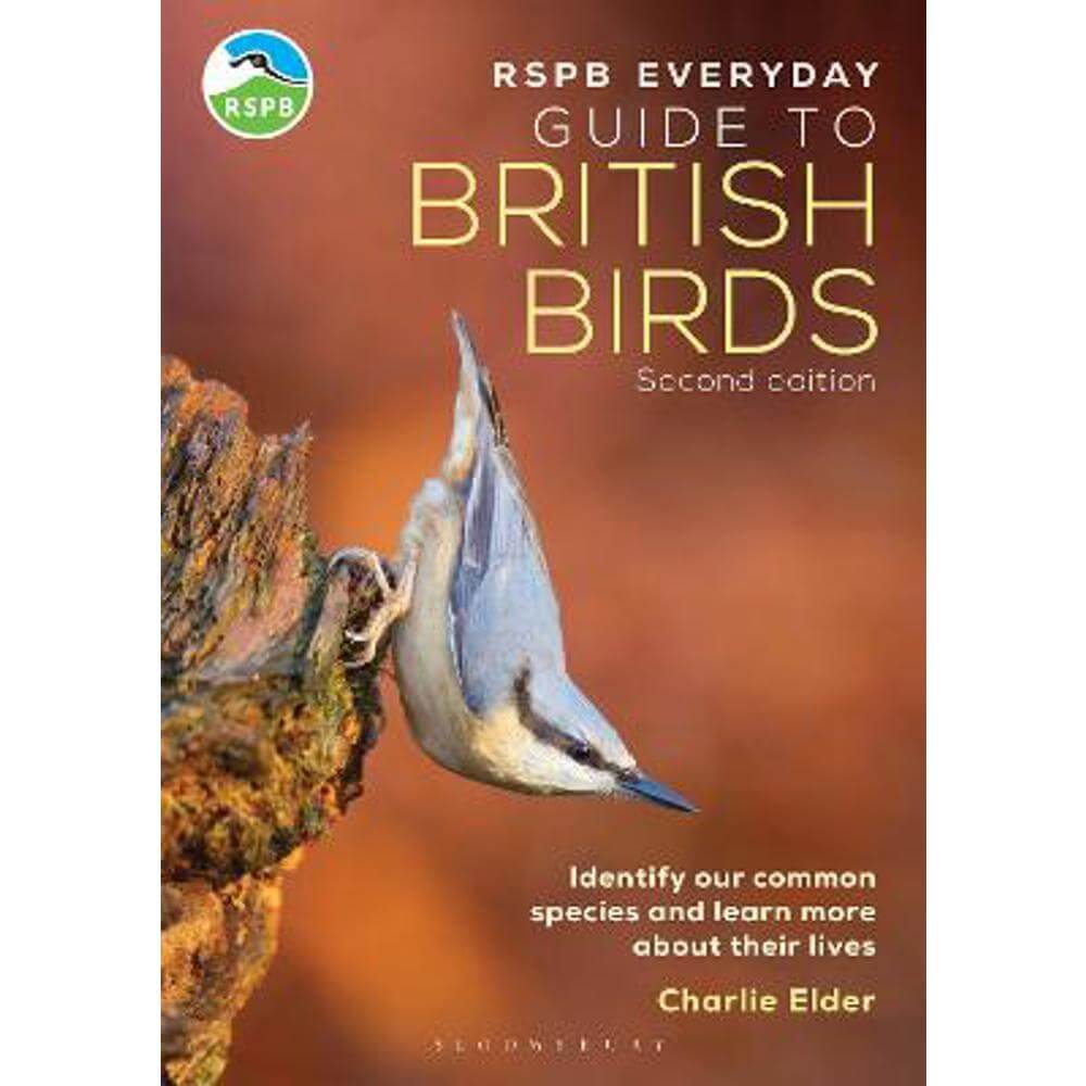 The RSPB Everyday Guide to British Birds: Identify our common species and learn more about their lives (Paperback) - Charlie Elder